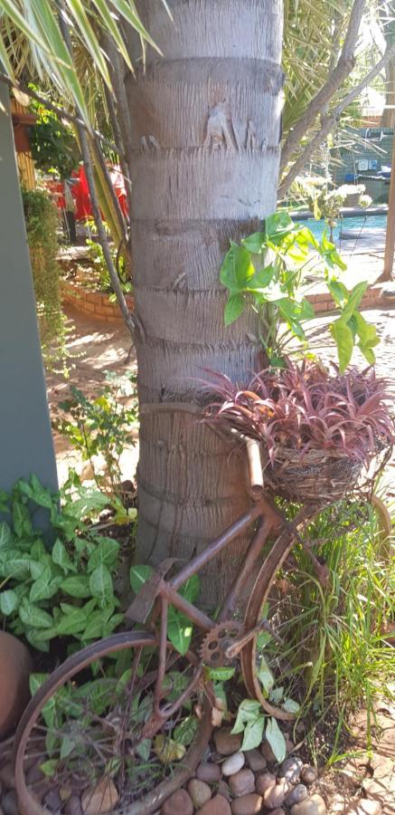 Africas Eden Guesthouse Mookgophong Εξωτερικό φωτογραφία